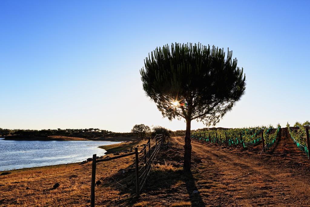 Herdade Da Calada 아자루자 외부 사진
