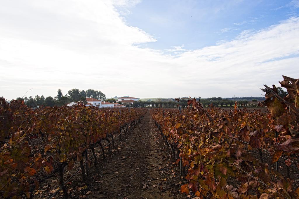Herdade Da Calada 아자루자 외부 사진